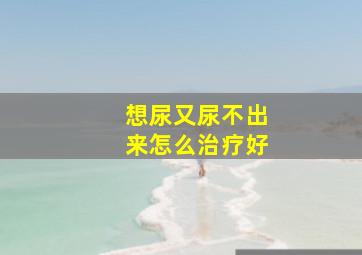 想尿又尿不出来怎么治疗好