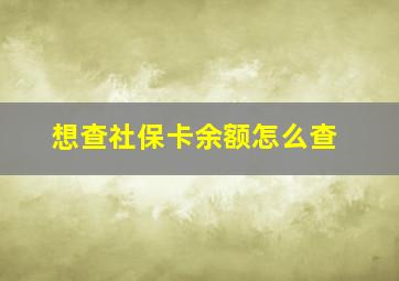 想查社保卡余额怎么查