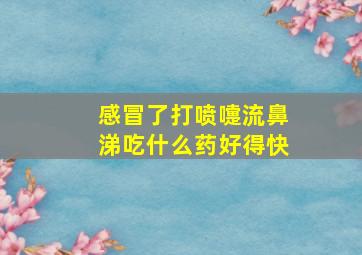 感冒了打喷嚏流鼻涕吃什么药好得快