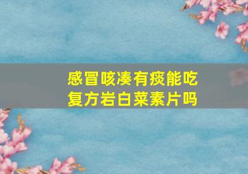 感冒咳凑有痰能吃复方岩白菜素片吗