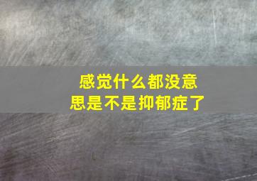 感觉什么都没意思是不是抑郁症了