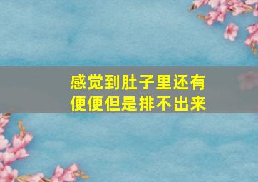 感觉到肚子里还有便便但是排不出来