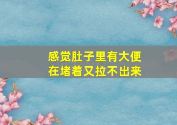 感觉肚子里有大便在堵着又拉不出来