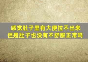 感觉肚子里有大便拉不出来但是肚子也没有不舒服正常吗