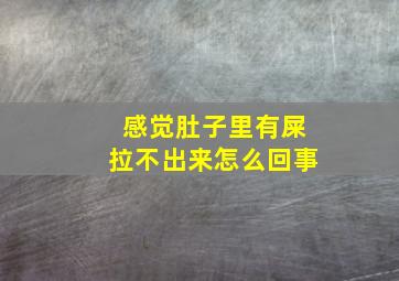 感觉肚子里有屎拉不出来怎么回事