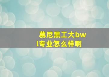 慕尼黑工大bwl专业怎么样啊