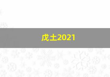 戊土2021