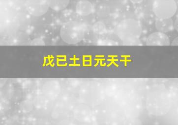 戊已土日元天干