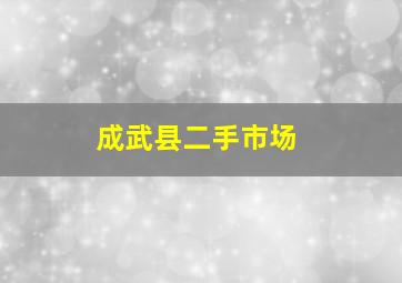 成武县二手市场