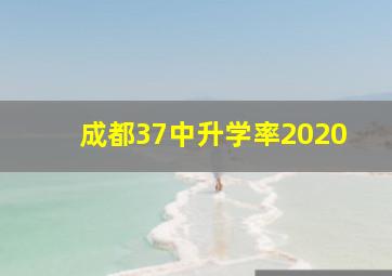 成都37中升学率2020