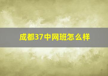 成都37中网班怎么样