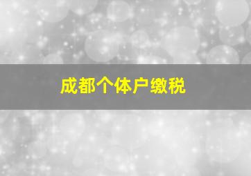 成都个体户缴税