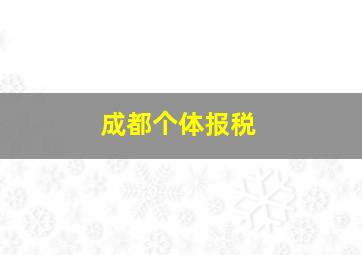 成都个体报税