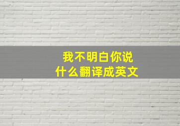 我不明白你说什么翻译成英文