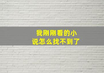 我刚刚看的小说怎么找不到了