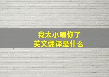 我太小瞧你了英文翻译是什么