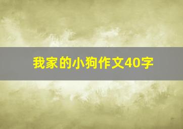 我家的小狗作文40字