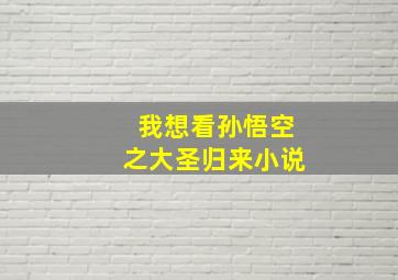 我想看孙悟空之大圣归来小说