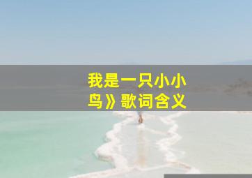 我是一只小小鸟》歌词含义