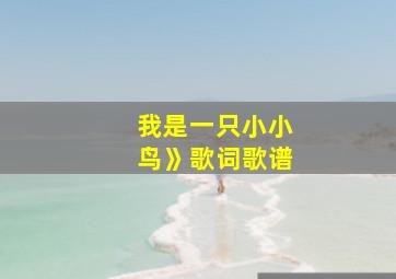 我是一只小小鸟》歌词歌谱