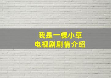 我是一棵小草电视剧剧情介绍