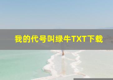 我的代号叫绿牛TXT下载