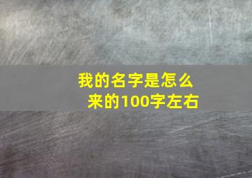 我的名字是怎么来的100字左右