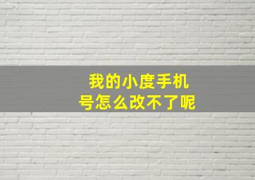 我的小度手机号怎么改不了呢