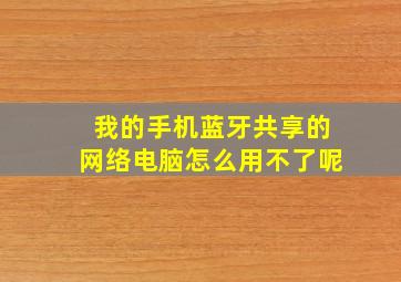 我的手机蓝牙共享的网络电脑怎么用不了呢