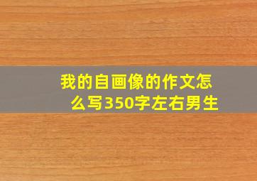 我的自画像的作文怎么写350字左右男生