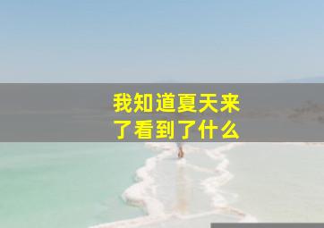 我知道夏天来了看到了什么