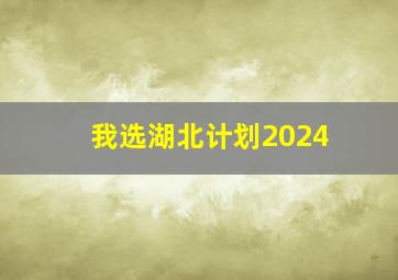 我选湖北计划2024