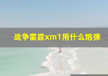 战争雷霆xm1用什么炮弹