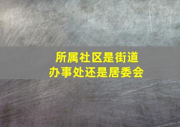 所属社区是街道办事处还是居委会