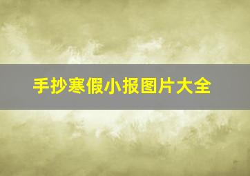 手抄寒假小报图片大全