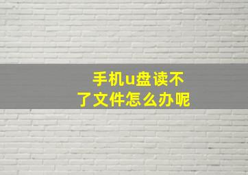 手机u盘读不了文件怎么办呢