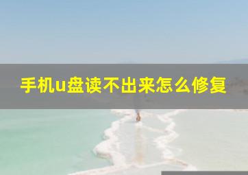 手机u盘读不出来怎么修复