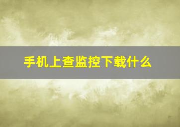 手机上查监控下载什么