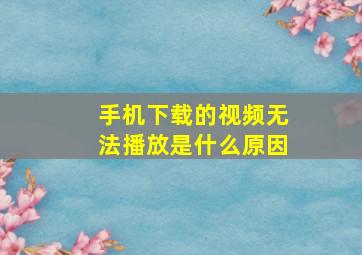 手机下载的视频无法播放是什么原因