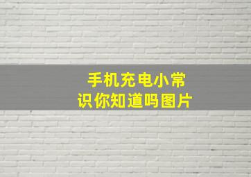 手机充电小常识你知道吗图片