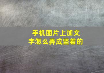 手机图片上加文字怎么弄成竖着的