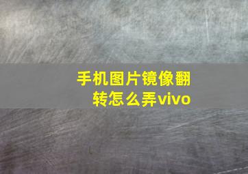 手机图片镜像翻转怎么弄vivo