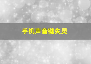 手机声音键失灵