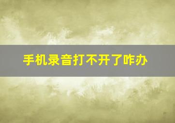 手机录音打不开了咋办