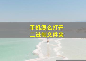 手机怎么打开二进制文件夹