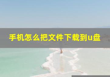 手机怎么把文件下载到u盘