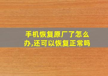 手机恢复原厂了怎么办,还可以恢复正常吗