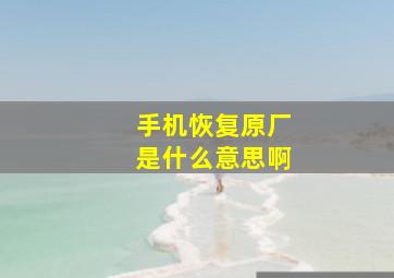 手机恢复原厂是什么意思啊