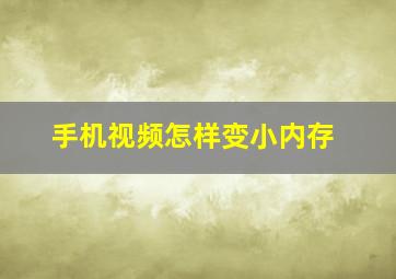 手机视频怎样变小内存