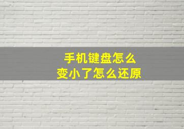 手机键盘怎么变小了怎么还原